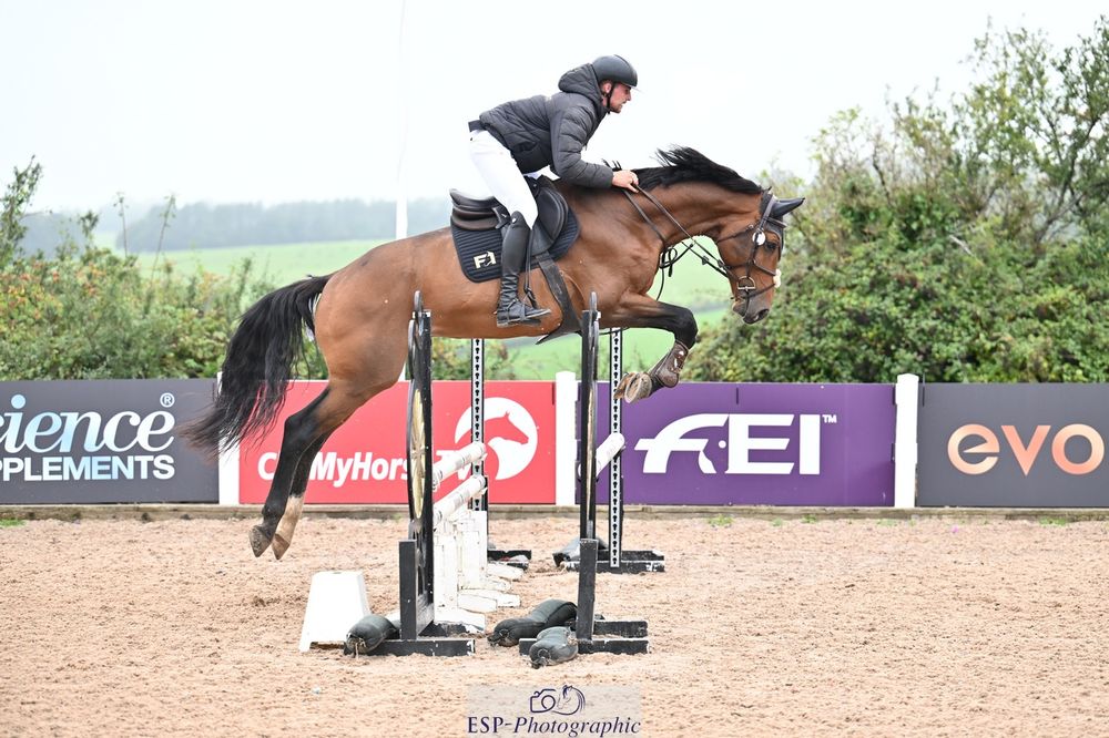Bay sport horse jumping a fence at an FEI show