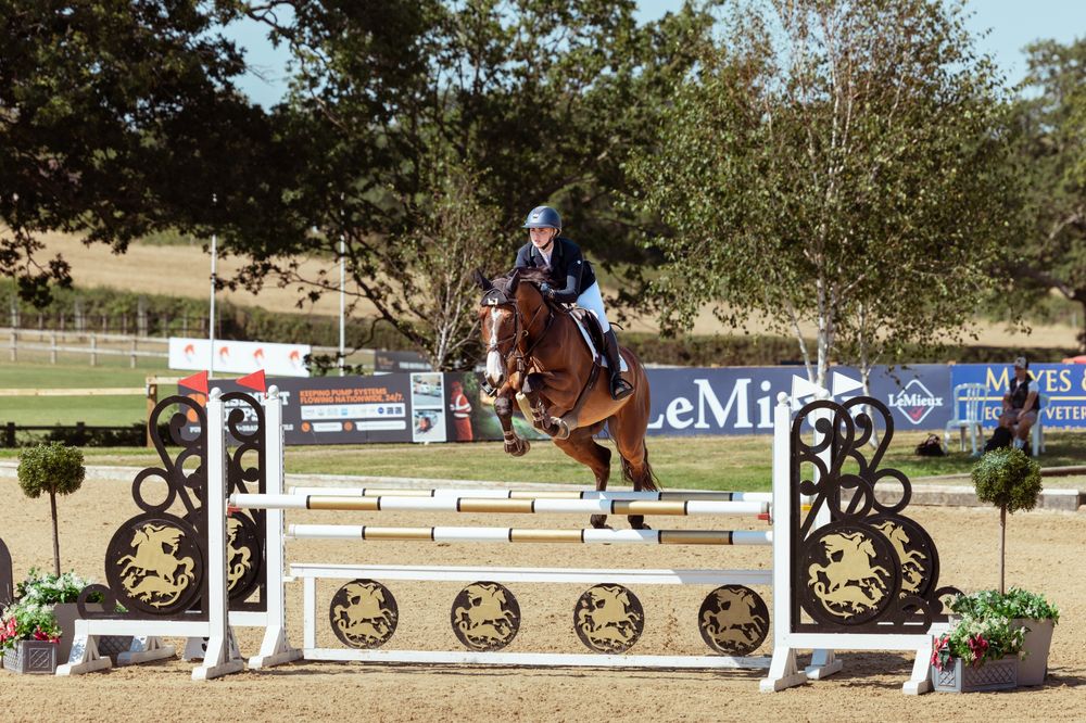 Bay horse jumping a gold-decorated fence