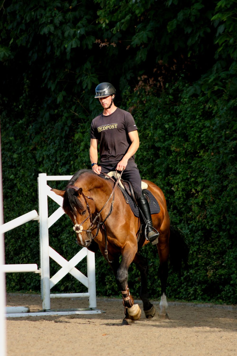 Rider schooling a bay horse in the arena